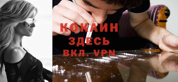 дмт Мегион