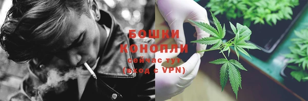 дмт Мегион