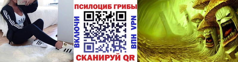 что такое   Эртиль  Галлюциногенные грибы MAGIC MUSHROOMS 